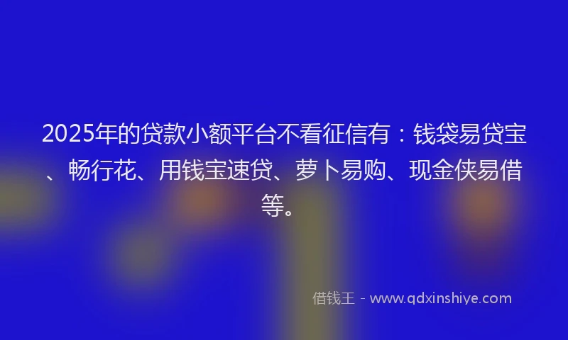 2025年的贷款小额平台不看征信有：钱袋易贷宝、畅行花、用钱宝速贷、萝卜易购、现金侠易借等。