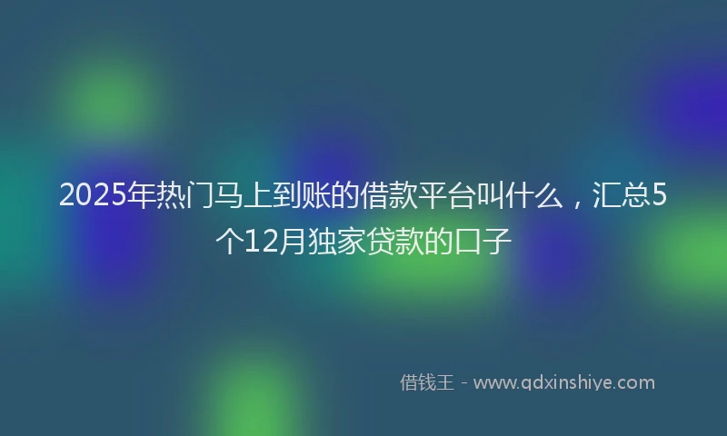 2025年热门马上到账的借款平台叫什么，汇总5个12月独家贷款的口子