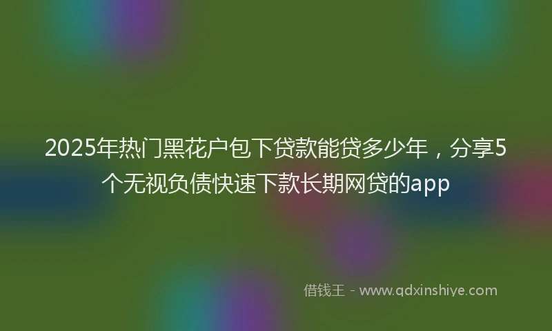 2025年热门黑花户包下贷款能贷多少年，分享5个无视负债快速下款长期网贷的app