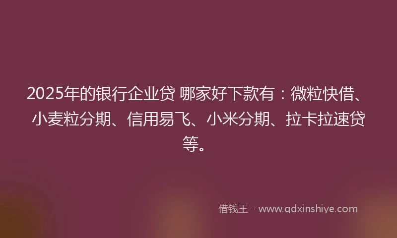 2025年的银行企业贷 哪家好下款有：微粒快借、小麦粒分期、信用易飞、小米分期、拉卡拉速贷等。
