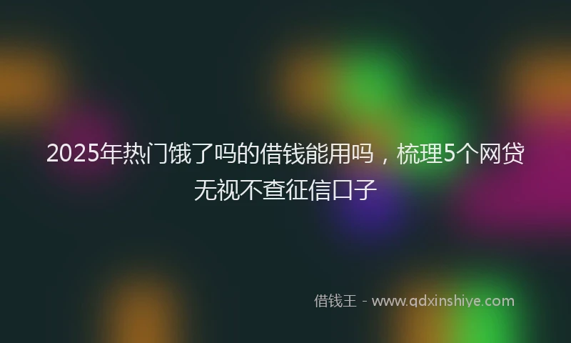 2025年热门饿了吗的借钱能用吗，梳理5个网贷无视不查征信口子