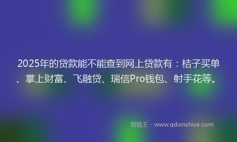 2025年的贷款能不能查到网上贷款有：桔子买单、掌上财富、飞融贷、瑞信Pro钱包、射手花等。