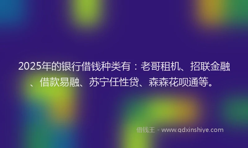 2025年的银行借钱种类有：老哥租机、招联金融、借款易融、苏宁任性贷、森森花呗通等。