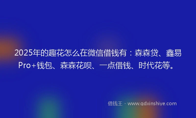 2025年的趣花怎么在微信借钱有：森森贷、鑫易Pro+钱包、森森花呗、一点借钱、时代花等。