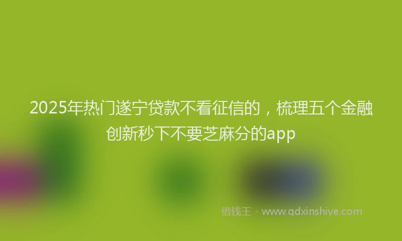 2025年热门遂宁贷款不看征信的，梳理五个金融创新秒下不要芝麻分的app