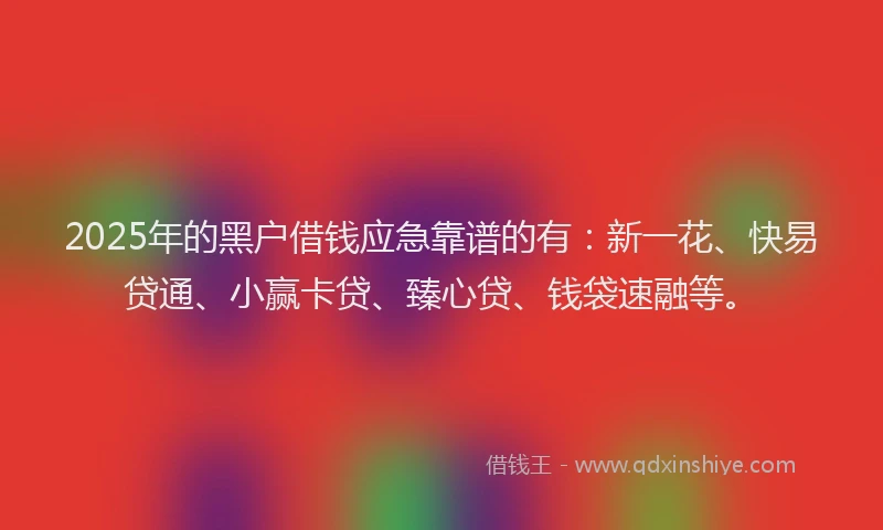 2025年的黑户借钱应急靠谱的有：新一花、快易贷通、小赢卡贷、臻心贷、钱袋速融等。