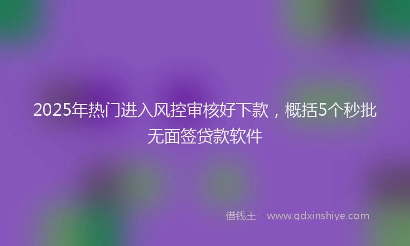 2025年热门进入风控审核好下款，概括5个秒批无面签贷款软件