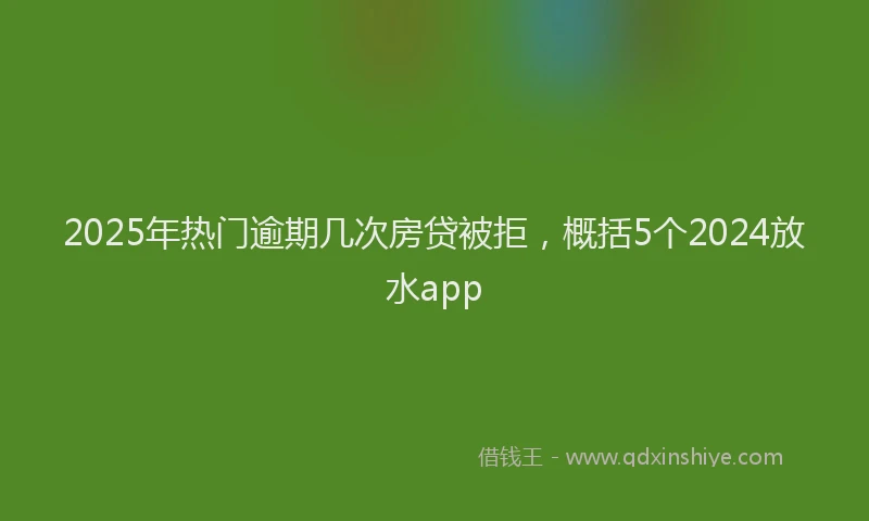 2025年热门逾期几次房贷被拒，概括5个2024放水app