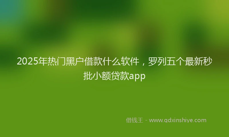 2025年热门黑户借款什么软件，罗列五个最新秒批小额贷款app