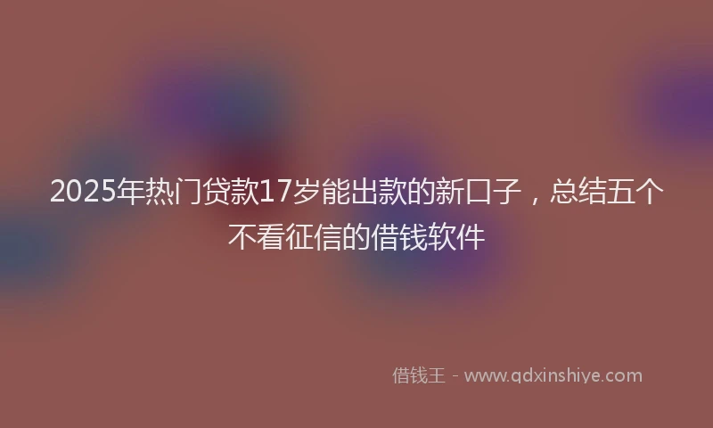 2025年热门贷款17岁能出款的新口子，总结五个不看征信的借钱软件