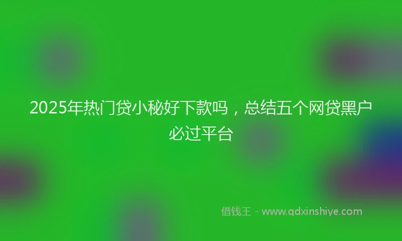 2025年热门贷小秘好下款吗，总结五个网贷黑户必过平台