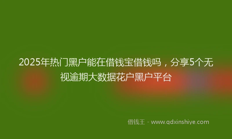 2025年热门黑户能在借钱宝借钱吗，分享5个无视逾期大数据花户黑户平台