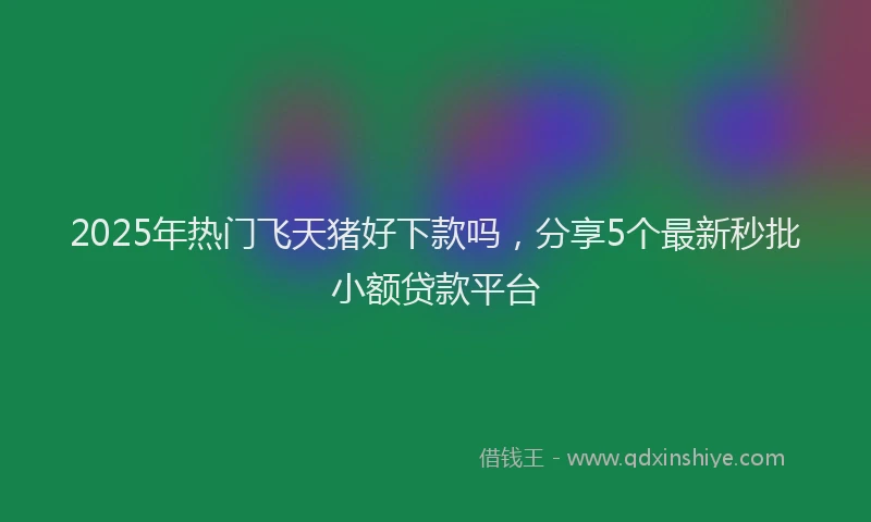 2025年热门飞天猪好下款吗，分享5个最新秒批小额贷款平台