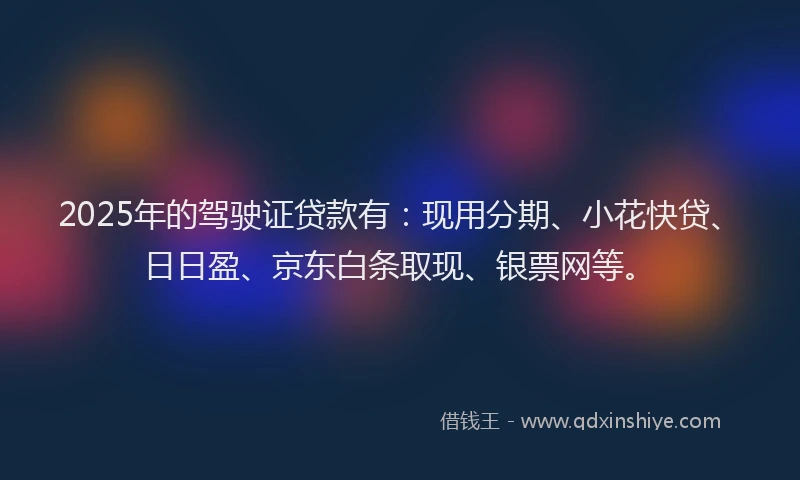 2025年的驾驶证贷款有：现用分期、小花快贷、日日盈、京东白条取现、银票网等。