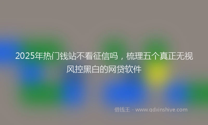 2025年热门钱站不看征信吗，梳理五个真正无视风控黑白的网贷软件