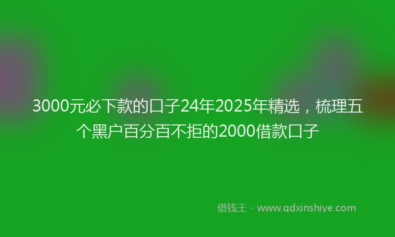 3000元必下款的口子24年2025年精选，梳理五个黑户百分百不拒的2000借款口子