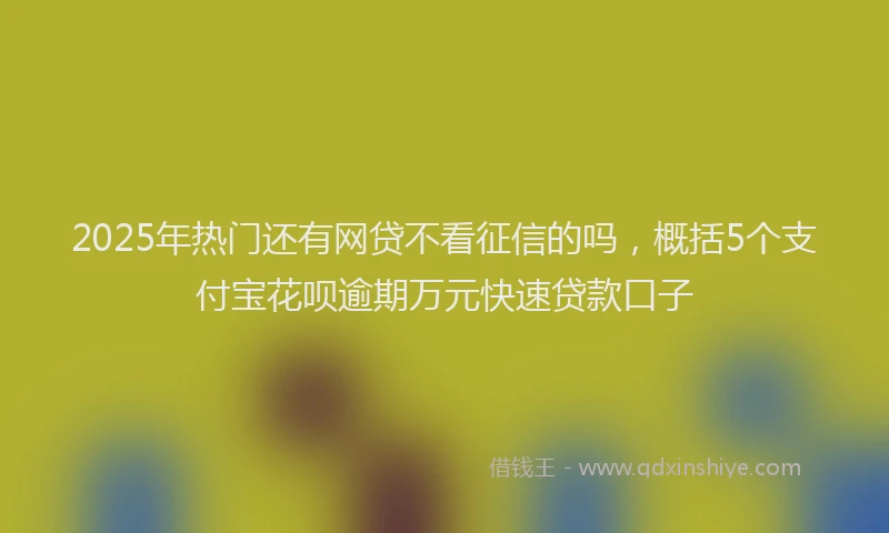 2025年热门还有网贷不看征信的吗，概括5个支付宝花呗逾期万元快速贷款口子