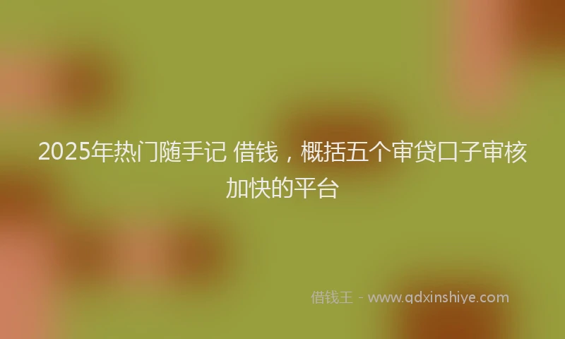 2025年热门随手记 借钱，概括五个审贷口子审核加快的平台