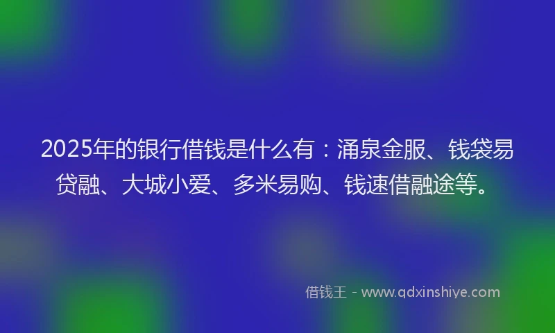 2025年的银行借钱是什么有：涌泉金服、钱袋易贷融、大城小爱、多米易购、钱速借融途等。