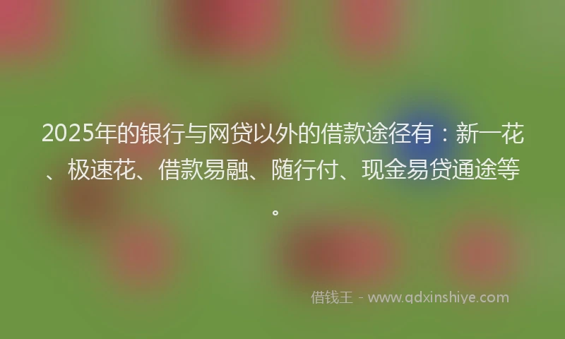2025年的银行与网贷以外的借款途径有：新一花、极速花、借款易融、随行付、现金易贷通途等。