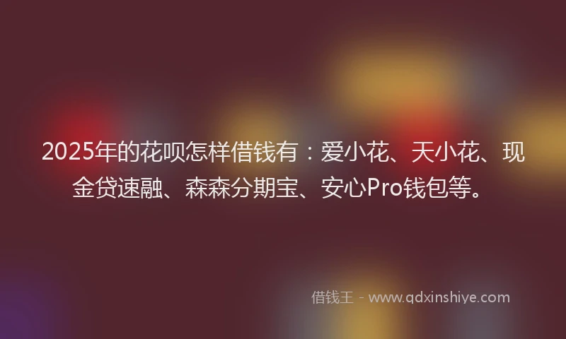 2025年的花呗怎样借钱有：爱小花、天小花、现金贷速融、森森分期宝、安心Pro钱包等。