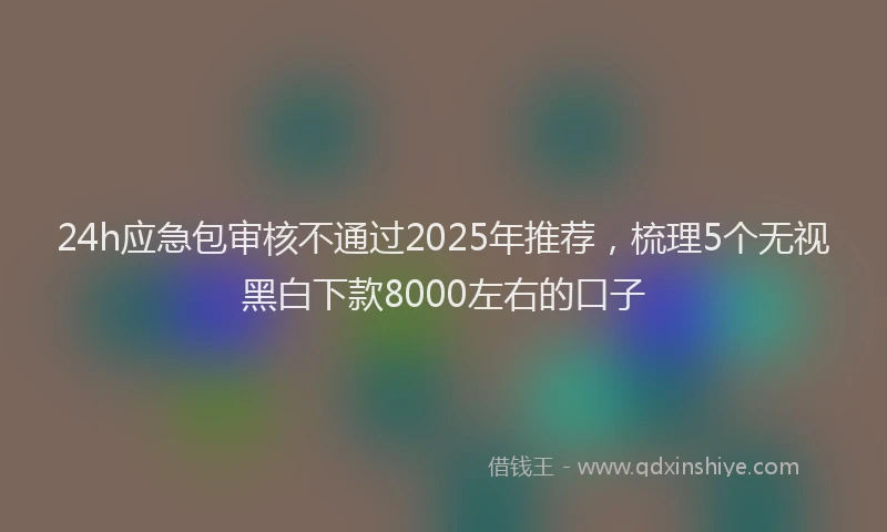 24h应急包审核不通过2025年推荐，梳理5个无视黑白下款8000左右的口子