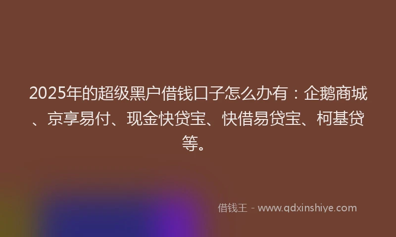 2025年的超级黑户借钱口子怎么办有：企鹅商城、京享易付、现金快贷宝、快借易贷宝、柯基贷等。