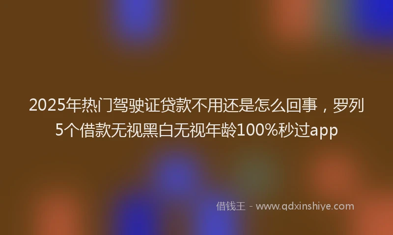 2025年热门驾驶证贷款不用还是怎么回事，罗列5个借款无视黑白无视年龄100%秒过app