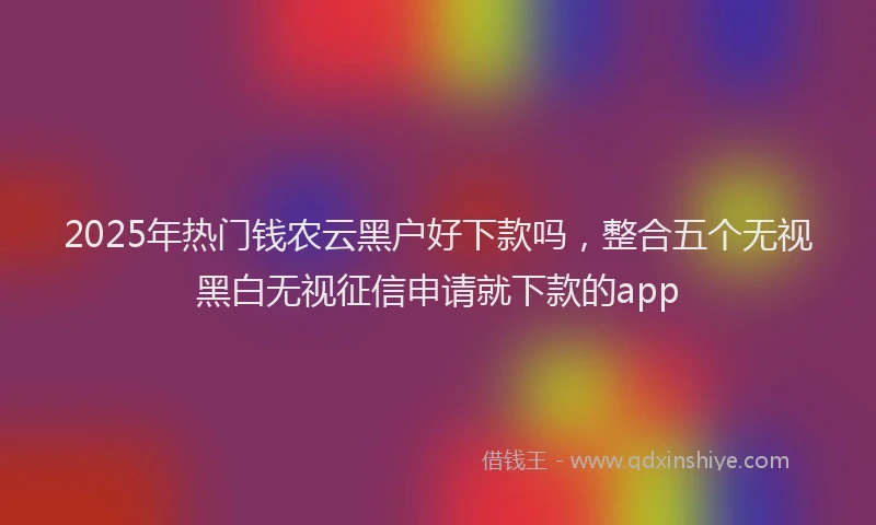 2025年热门钱农云黑户好下款吗，整合五个无视黑白无视征信申请就下款的app