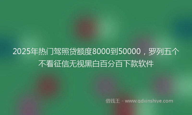 2025年热门驾照贷额度8000到50000，罗列五个不看征信无视黑白百分百下款软件