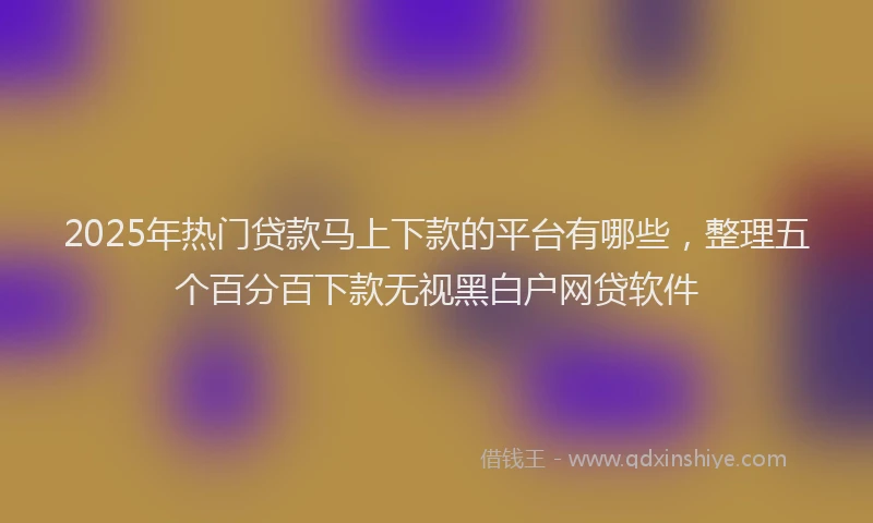 2025年热门贷款马上下款的平台有哪些，整理五个百分百下款无视黑白户网贷软件