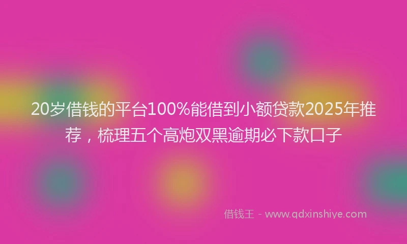 20岁借钱的平台100%能借到小额贷款2025年推荐，梳理五个高炮双黑逾期必下款口子