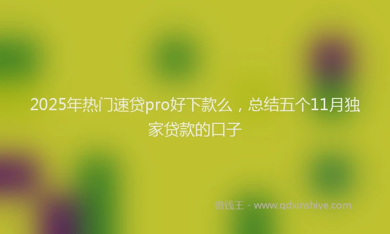 2025年热门速贷pro好下款么，总结五个11月独家贷款的口子