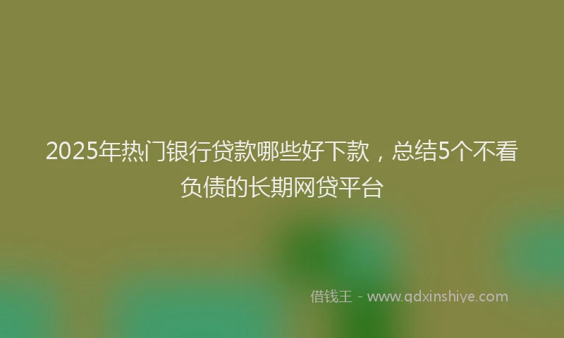 2025年热门银行贷款哪些好下款，总结5个不看负债的长期网贷平台
