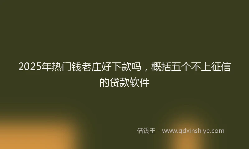 2025年热门钱老庄好下款吗，概括五个不上征信的贷款软件