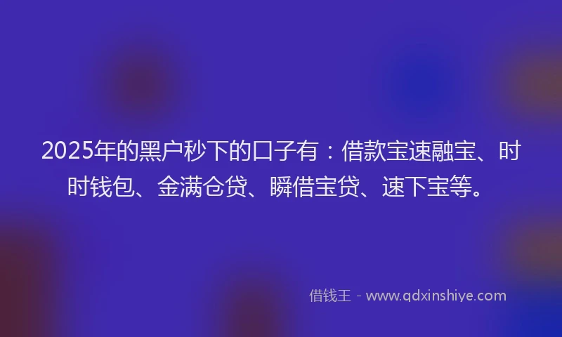 2025年的黑户秒下的口子有：借款宝速融宝、时时钱包、金满仓贷、瞬借宝贷、速下宝等。