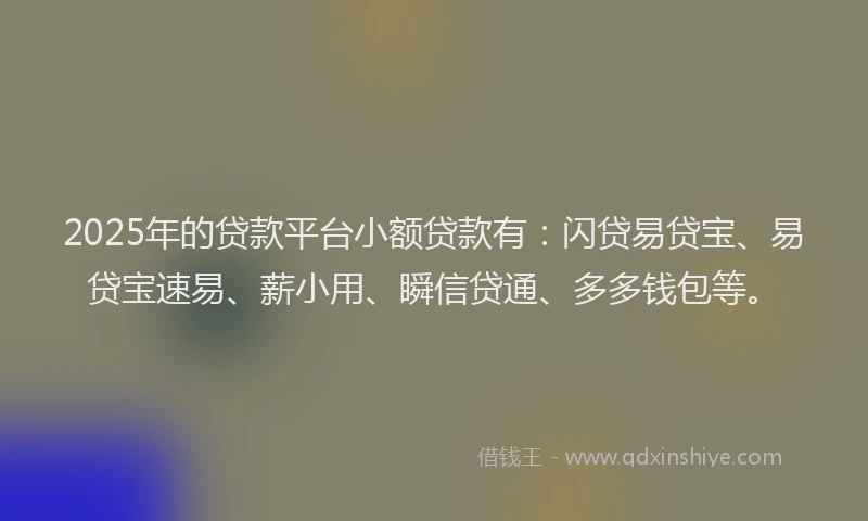 2025年的贷款平台小额贷款有：闪贷易贷宝、易贷宝速易、薪小用、瞬信贷通、多多钱包等。