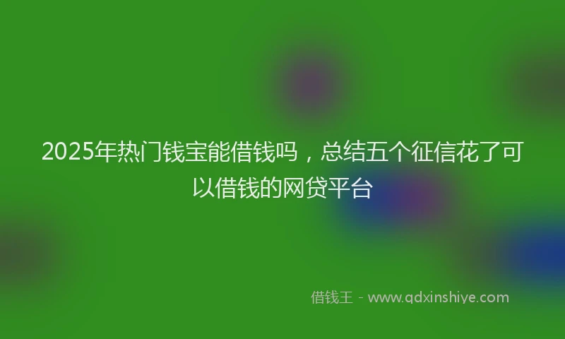2025年热门钱宝能借钱吗，总结五个征信花了可以借钱的网贷平台