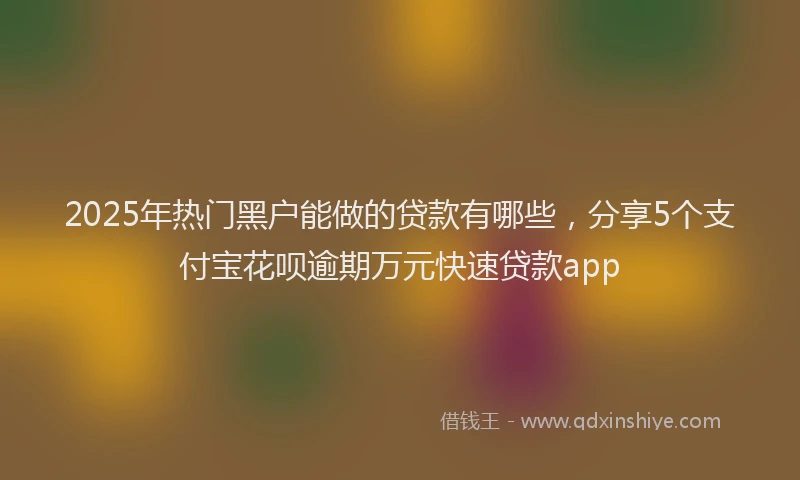 2025年热门黑户能做的贷款有哪些，分享5个支付宝花呗逾期万元快速贷款app