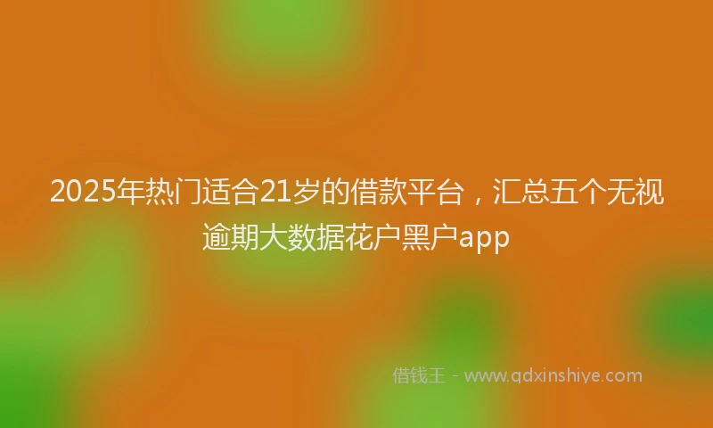 2025年热门适合21岁的借款平台，汇总五个无视逾期大数据花户黑户app