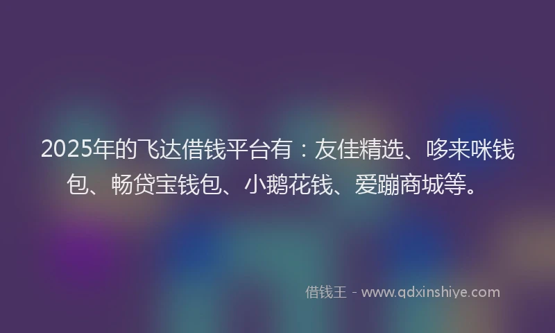 2025年的飞达借钱平台有：友佳精选、哆来咪钱包、畅贷宝钱包、小鹅花钱、爱蹦商城等。