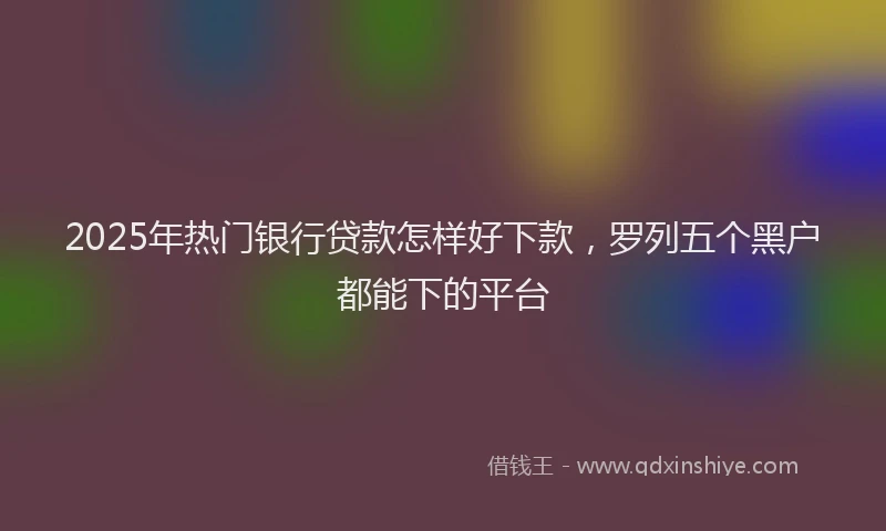 2025年热门银行贷款怎样好下款，罗列五个黑户都能下的平台