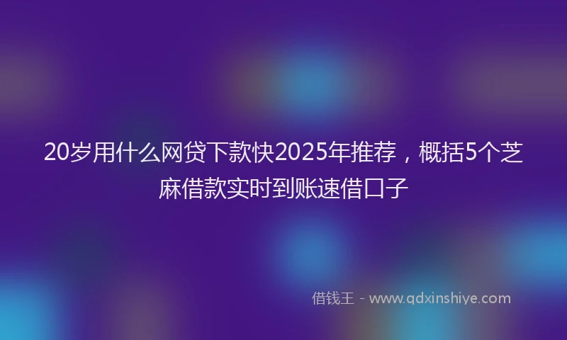 20岁用什么网贷下款快2025年推荐，概括5个芝麻借款实时到账速借口子