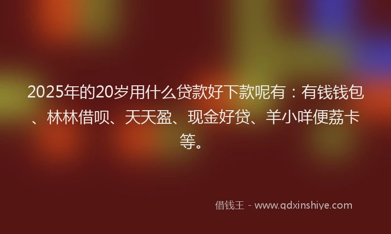 2025年的20岁用什么贷款好下款呢有：有钱钱包、林林借呗、天天盈、现金好贷、羊小咩便荔卡等。