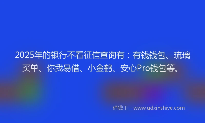 2025年的银行不看征信查询有：有钱钱包、琉璃买单、你我易借、小金鹤、安心Pro钱包等。