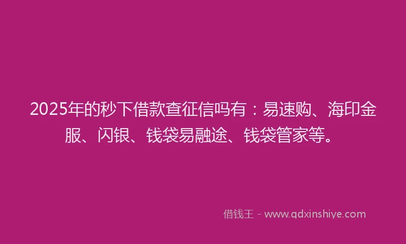 2025年的秒下借款查征信吗有：易速购、海印金服、闪银、钱袋易融途、钱袋管家等。