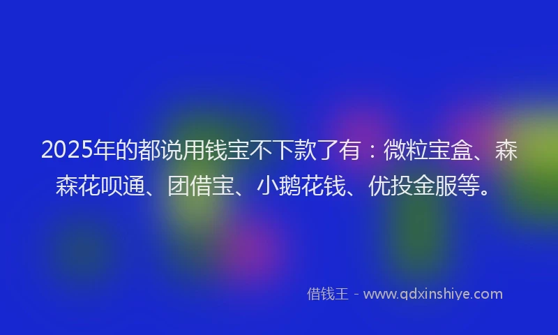2025年的都说用钱宝不下款了有：微粒宝盒、森森花呗通、团借宝、小鹅花钱、优投金服等。