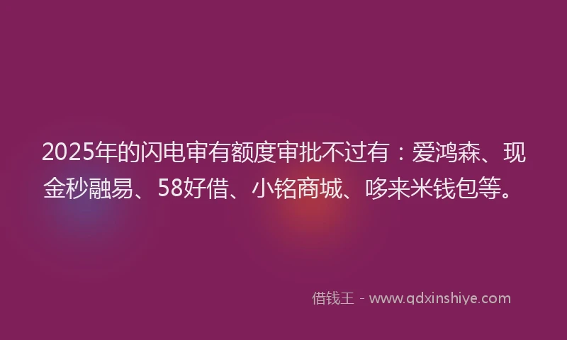 2025年的闪电审有额度审批不过有：爱鸿森、现金秒融易、58好借、小铭商城、哆来米钱包等。