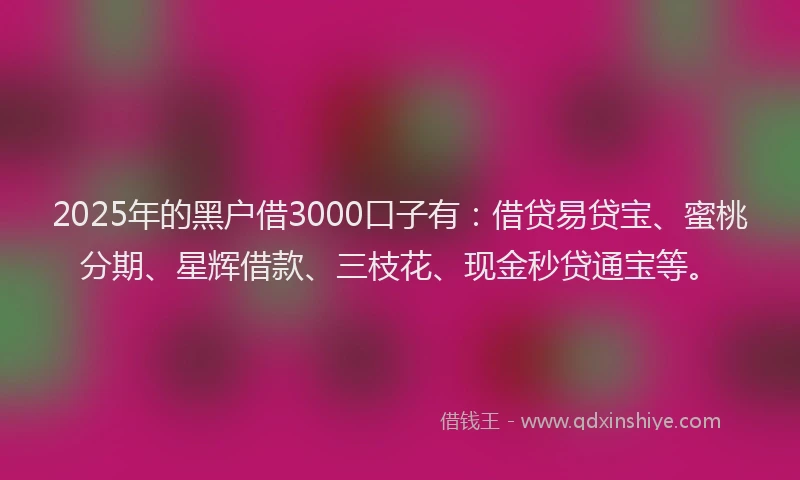 2025年的黑户借3000口子有：借贷易贷宝、蜜桃分期、星辉借款、三枝花、现金秒贷通宝等。