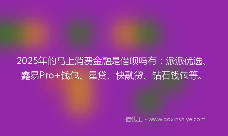 2025年的马上消费金融是借呗吗有：派派优选、鑫易Pro+钱包、星贷、快融贷、钻石钱包等。